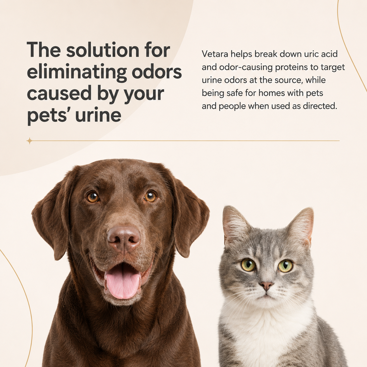 Pet Urine Odor Eliminator